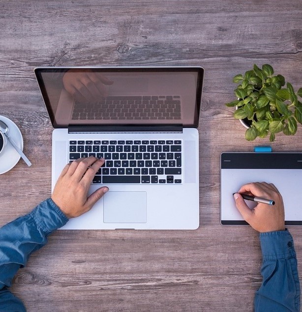 Laptop, person&#39;s hands, and plant