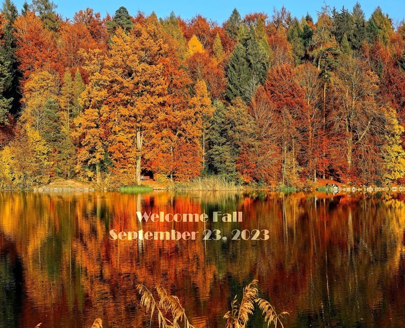 Fall trees and lake