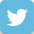 twitter icon